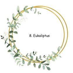 Śliwkowy